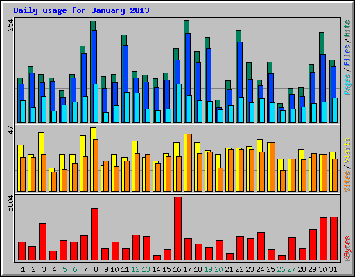 Daily usage for January 2013