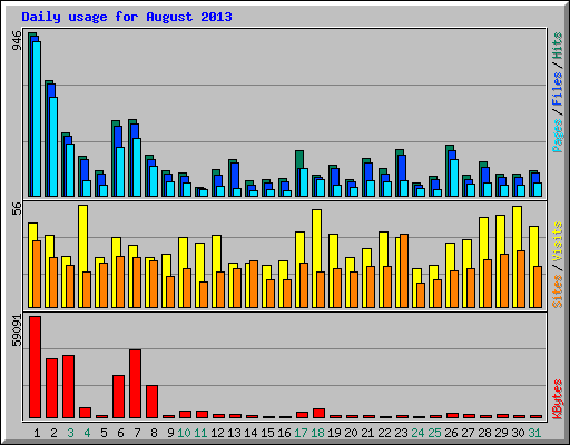 Daily usage for August 2013
