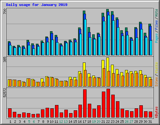 Daily usage for January 2019