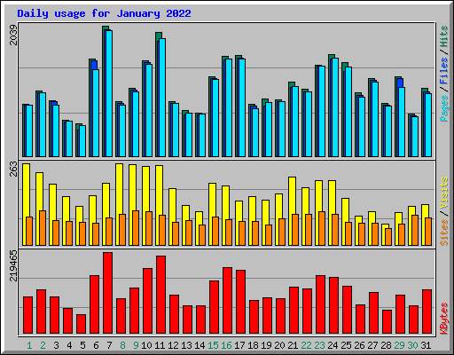 Daily usage for January 2022