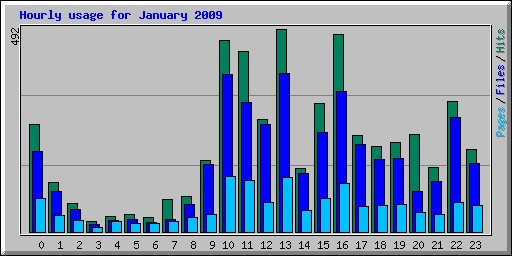 Hourly usage for January 2009