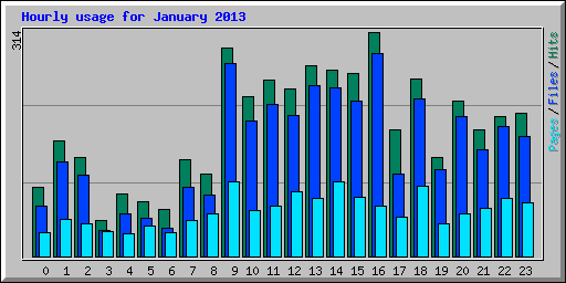 Hourly usage for January 2013