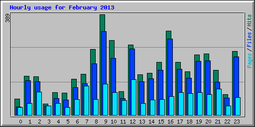 Hourly usage for February 2013