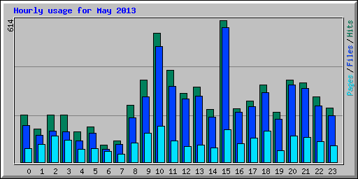 Hourly usage for May 2013