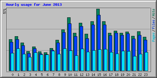 Hourly usage for June 2013