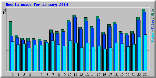 Hourly usage for January 2014