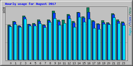Hourly usage for August 2017