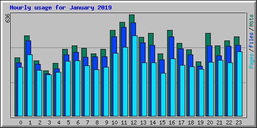 Hourly usage for January 2019