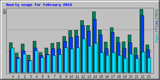 Hourly usage for February 2019