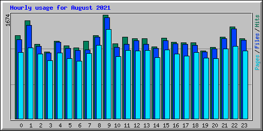 Hourly usage for August 2021