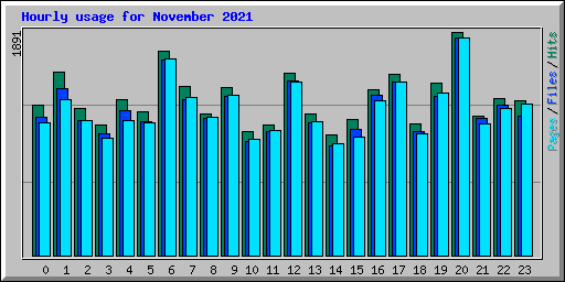 Hourly usage for November 2021