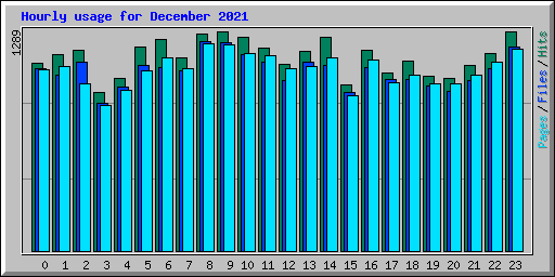 Hourly usage for December 2021