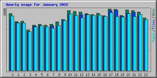 Hourly usage for January 2022