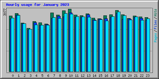Hourly usage for January 2023